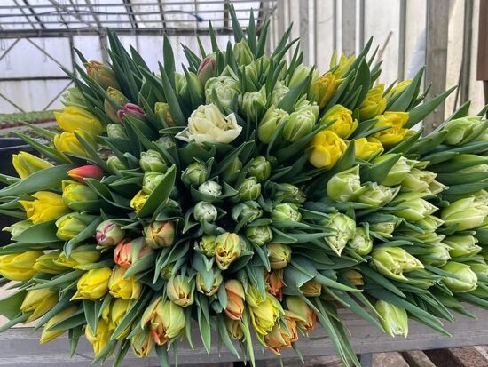 Dārzniecības un ziedu veikali